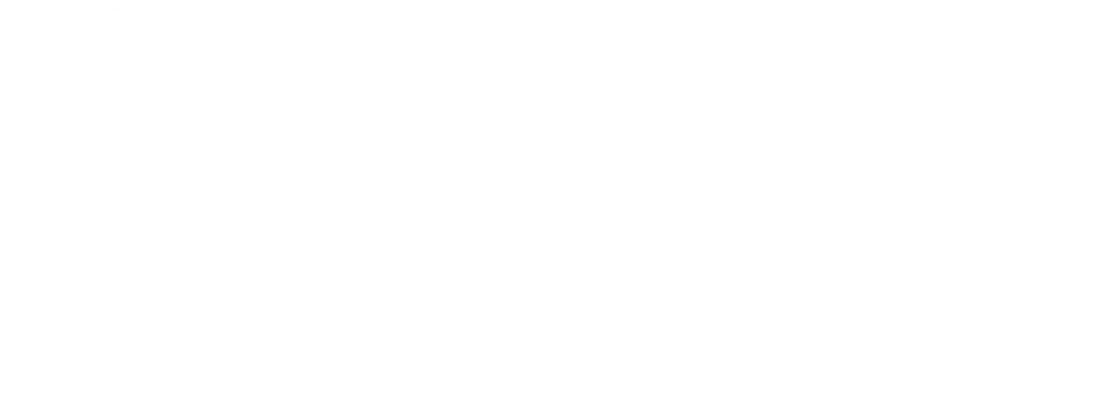 Logo Cari Style